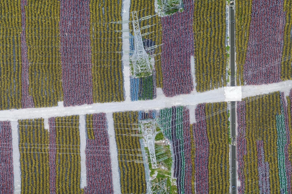 wordpress企業(yè)主體_中年男子豪攬4億彩票巨獎 老父親竟以為遭詐騙