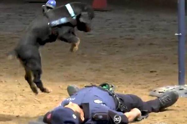 “許志安”式男人值得原諒么？