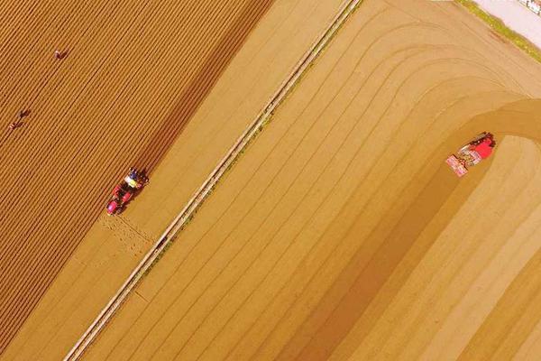 如何賺取運(yùn)費(fèi)險(xiǎn)差價(jià)被商家和平臺(tái)發(fā)現(xiàn)_華為董秘：華為100%由員工擁有，任正非有否決權(quán)而不是決定權(quán)