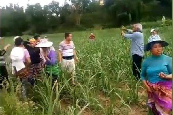 軟件系統(tǒng)的后門是什么_廢物利用的藝術(shù)太有創(chuàng)意