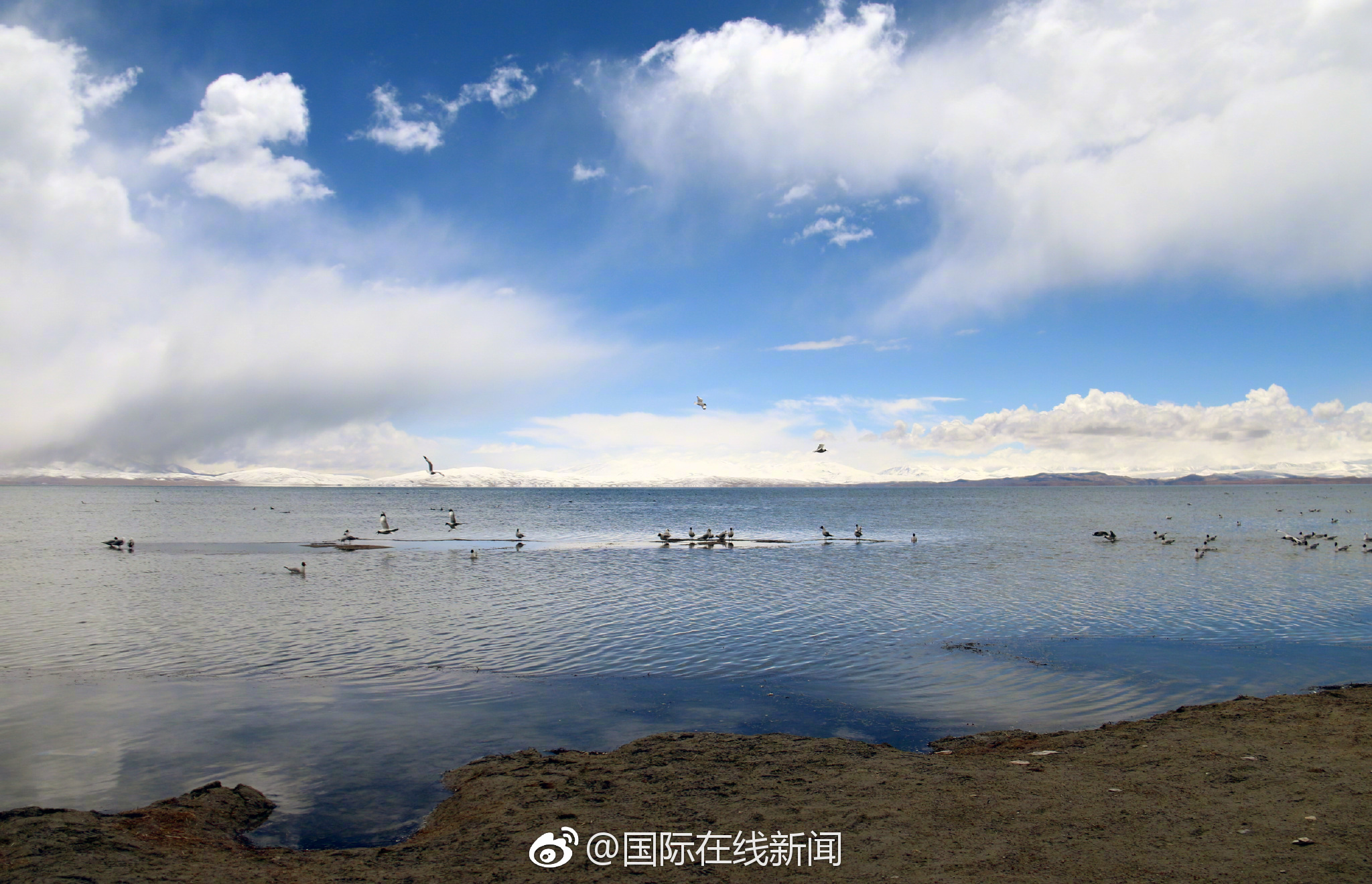 “一鍵死亡”為何遙不可及？