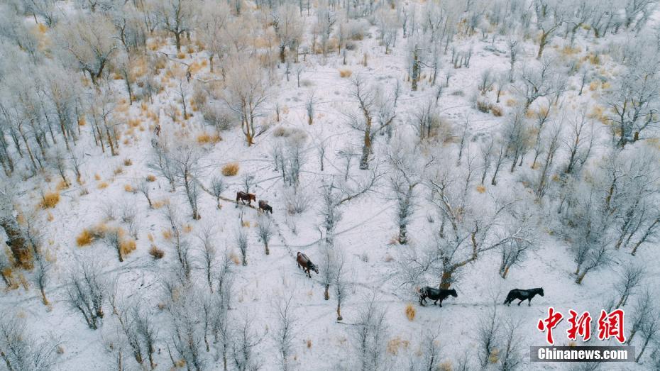xss攻擊測(cè)試方法_中國(guó)式現(xiàn)代化征途 “沒(méi)有捷徑，唯有實(shí)干”