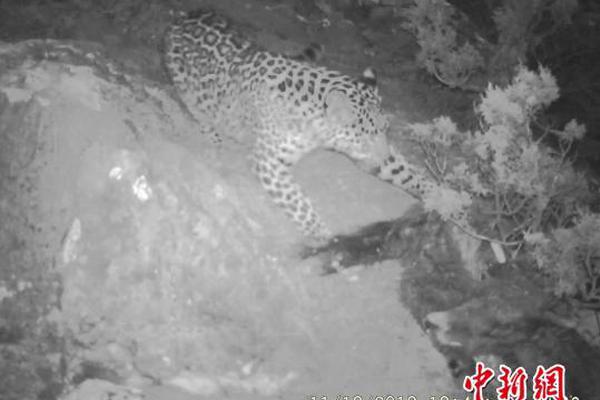 網(wǎng)站安全工作_牢記囑托 逐夢(mèng)深藍(lán)｜讓港口越來越“聰明”