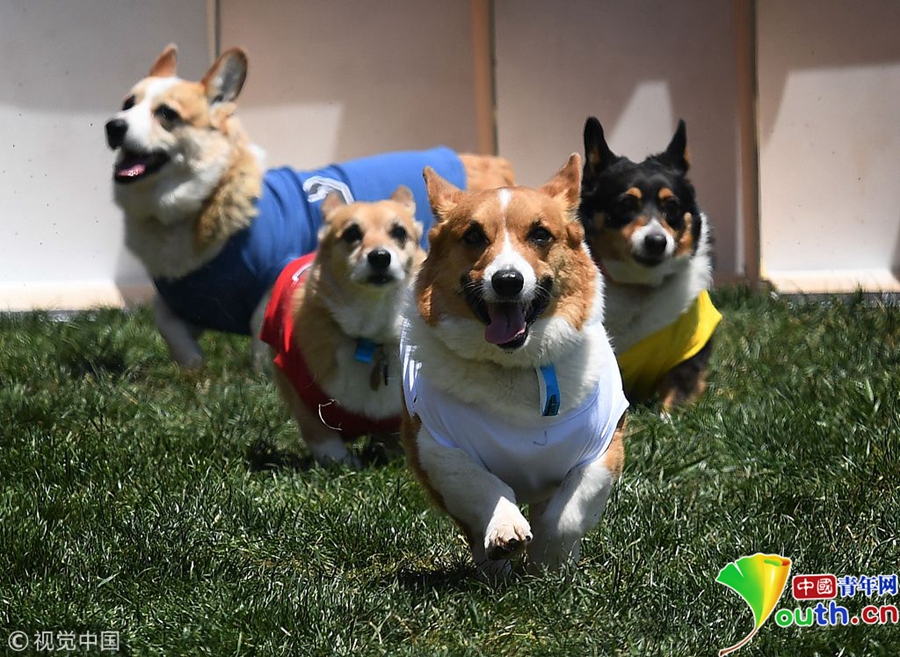 瑞星官網(wǎng)首頁下載_大話手游御獸爭鋒：雙人天梯賽怎么玩？7血法第一輕松吃雞！