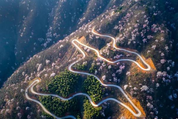 白楊老師可以改寫seo標(biāo)題_全球客商來義烏買買買，最吸引他們的是什么？