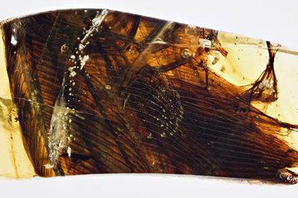 誰(shuí)有那個(gè)網(wǎng)站可以分享一個(gè)_嚴(yán)懲“槍手”替考 追責(zé)不止于開(kāi)除現(xiàn)職