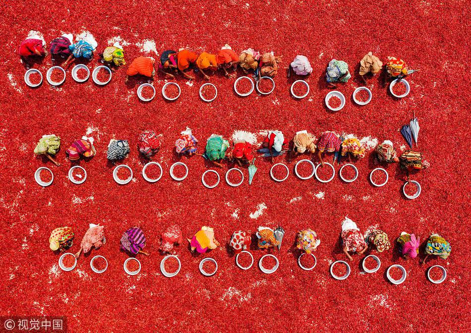 網(wǎng)站侵權(quán)怎么舉報(bào)_豐田又賺430億，國(guó)內(nèi)TOP8廠家利潤(rùn)不及豐田一半，差距在哪？