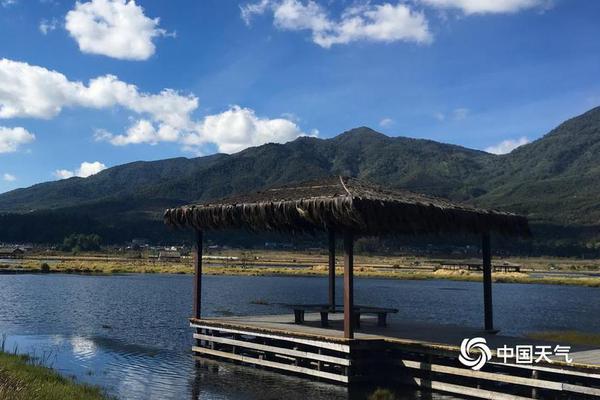 深圳專業(yè)企業(yè)網(wǎng)站建設(shè)_男子灌農(nóng)藥毒殺兒女 妻子死里逃生只求