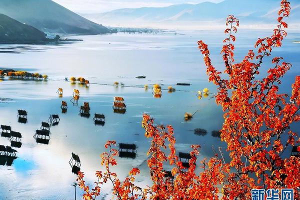 監(jiān)控系統(tǒng)簡介_旗艦巨作 鴻蒙智行首款MPV智界V9信息披露