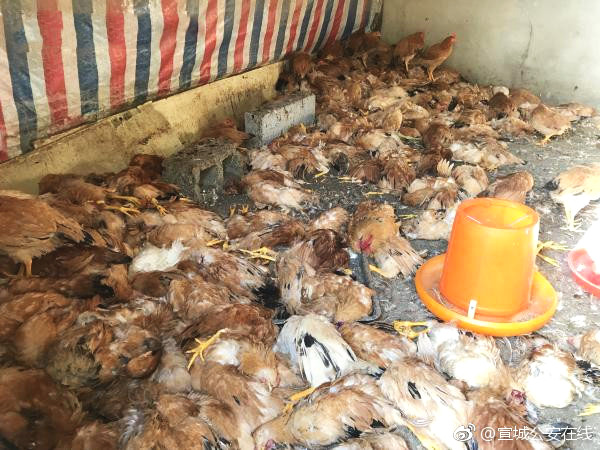 ip地址查詢網(wǎng)站入口官方_一定要在這個年齡前就開始控糖