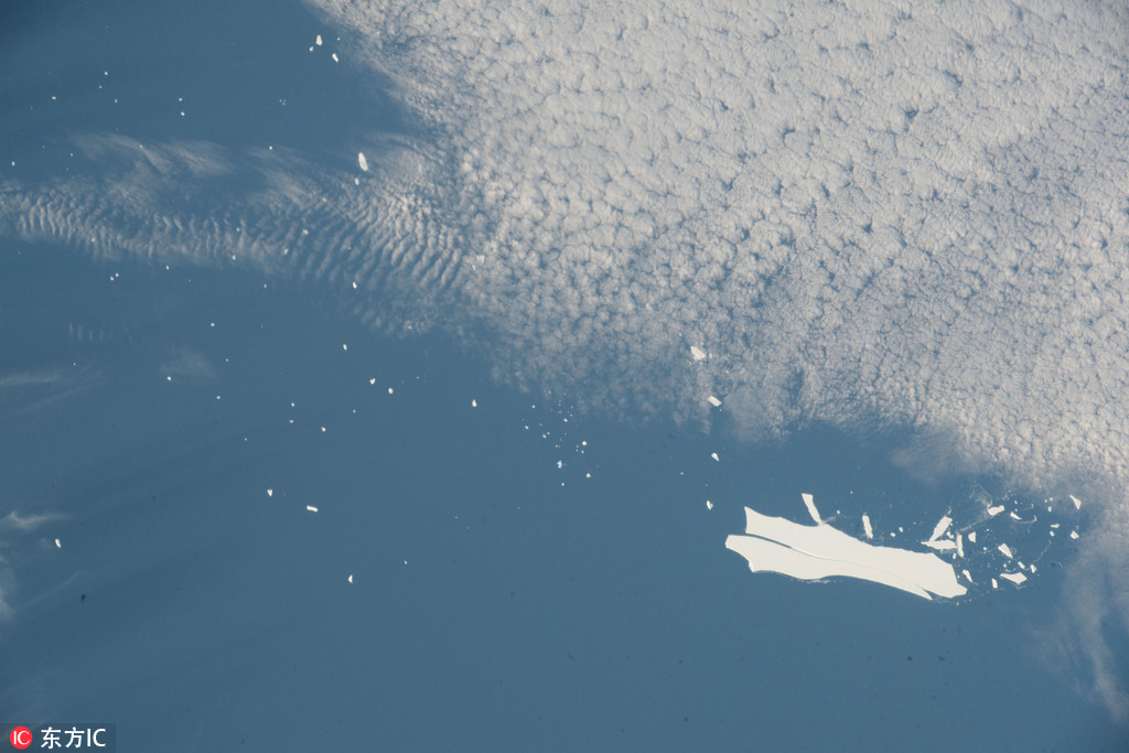 ip漏洞掃描工具_(dá)一家老小入住酒店4個月拖欠房費4千 老板倒貼也不肯搬