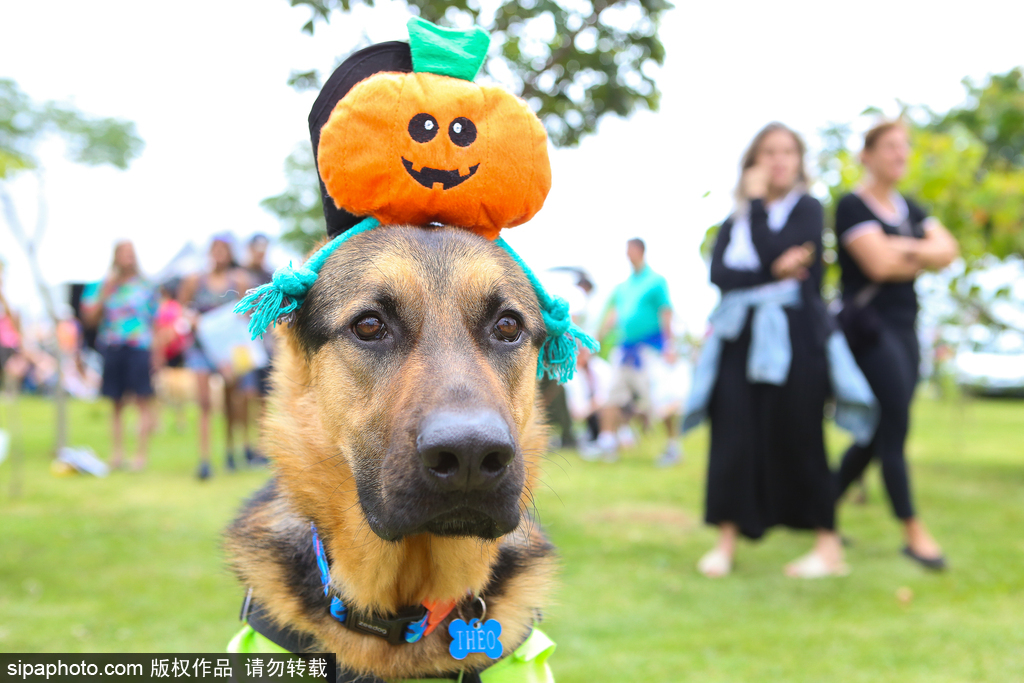 香港住宅樓起火400多住戶凌晨逃生