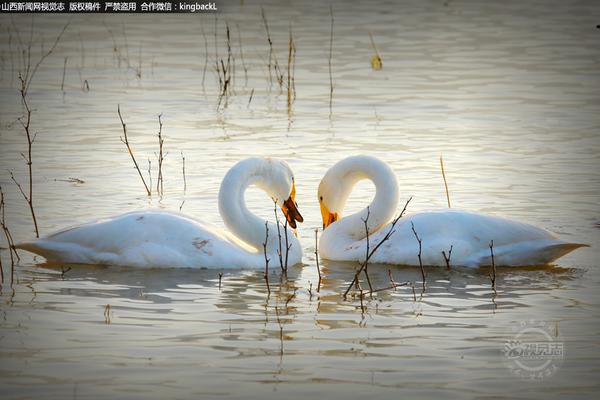 簡兮百家號文章采集_夸克 AI 眼鏡上架就被搶空，客服回應：建議設置10點的鬧鐘
