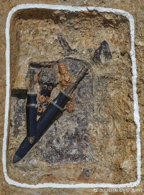 接受驗證碼的軟件_青春華章 向海圖強｜一封來自深藍的回信