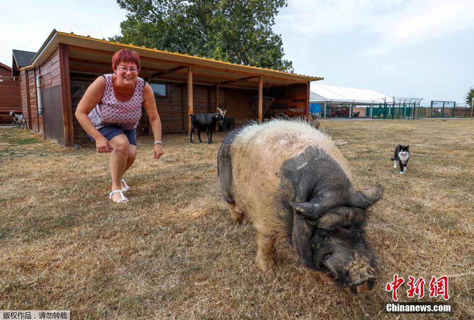 微信公眾號(hào)滲透測(cè)試_水銀體溫計(jì)明年起禁產(chǎn)上熱搜 1克汞到底有多“毒”？