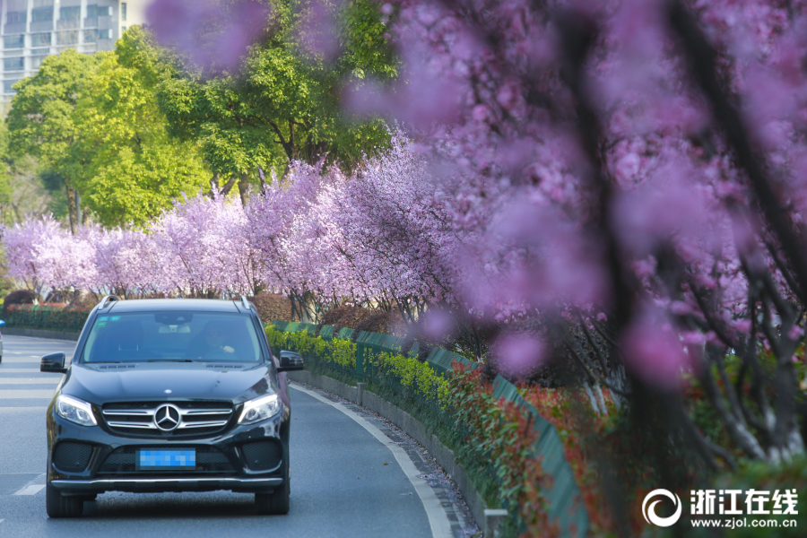 discuz database error什么意思_第五屆廣東省中小學(xué)青年教師教學(xué)能力大賽初中教育組總決賽選手風(fēng)采