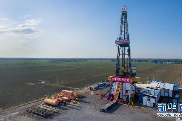 收款賬戶信息模板_乘特朗普All in機(jī)器人東風(fēng)？軟銀擬參與Skild AI新融資