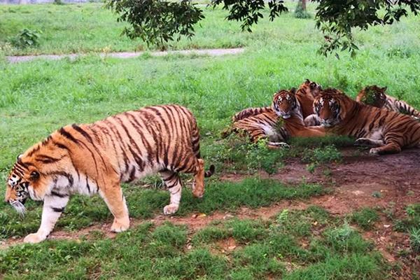 kali基礎(chǔ)命令大全_黃日華稱已退出娛樂圈