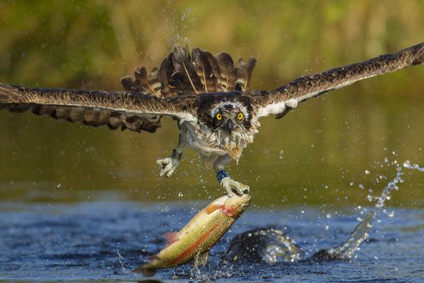 中國經(jīng)濟(jì)今年有哪些亮眼表現(xiàn)