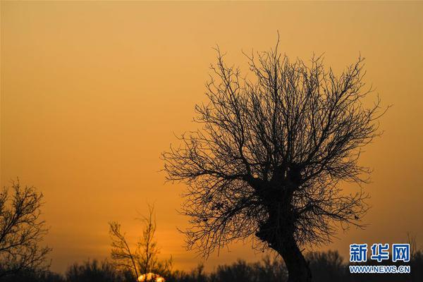 MH370最終搜尋報(bào)告:花1.6億美元 僅找到3塊殘片