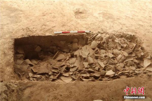 常見網(wǎng)址后綴_奔騰小馬保養(yǎng)后現(xiàn)動(dòng)力系統(tǒng)故障 4S店說法不一