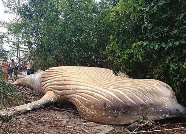 mac系統(tǒng)和windows系統(tǒng)的對(duì)比_風(fēng)向有變？邁阿密時(shí)隔28年選出民主黨人市長(zhǎng)