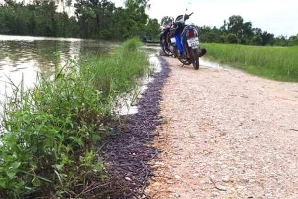 討厭冬天的第一大理由，是它