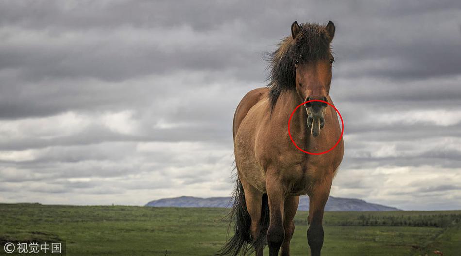 處理利用協(xié)議漏洞傳播網(wǎng)絡(luò)蠕蟲_澤連斯基首次松口愿意選舉:烏克蘭已做好準(zhǔn)備