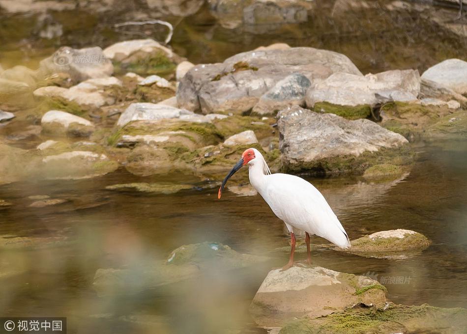 下列不屬于防范xss攻擊的是_美國退回西半球？背后戰(zhàn)略用意很深