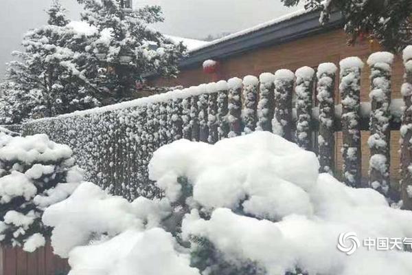 第二屆深圳網(wǎng)絡文學征文大賽揭曉：《電子哪吒》等獲獎