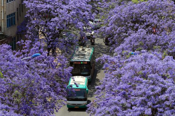 向日葵32位遠(yuǎn)程控制官網(wǎng)電腦版下載_讓“閑田”變“忙田” 農(nóng)村創(chuàng)業(yè)新力量讓冬日鄉(xiāng)村“火”起來