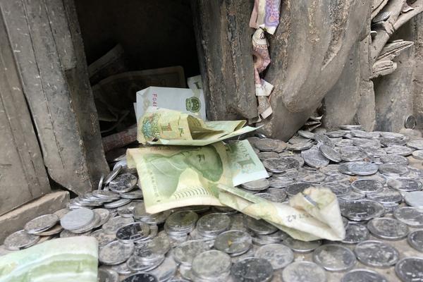 向日葵32位遠(yuǎn)程控制官網(wǎng)電腦版下載_讓“閑田”變“忙田” 農(nóng)村創(chuàng)業(yè)新力量讓冬日鄉(xiāng)村“火”起來