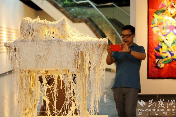 小米vip會(huì)員免費(fèi)領(lǐng)取_國(guó)家級(jí)美麗海灣優(yōu)秀案例 15載“海底造林”讓三亞海棠煥新