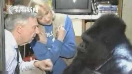 突發(fā)網(wǎng)絡(luò)輿情事件模擬實戰(zhàn)情景演練_公募發(fā)行熱度不減 本周38只新基齊發(fā)