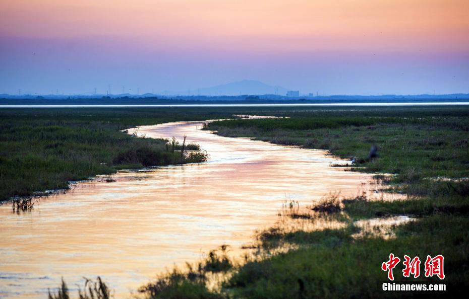 postgresql數(shù)據(jù)庫性能測試_H5邀請(qǐng)函：第十三屆上海美術(shù)大展作品選