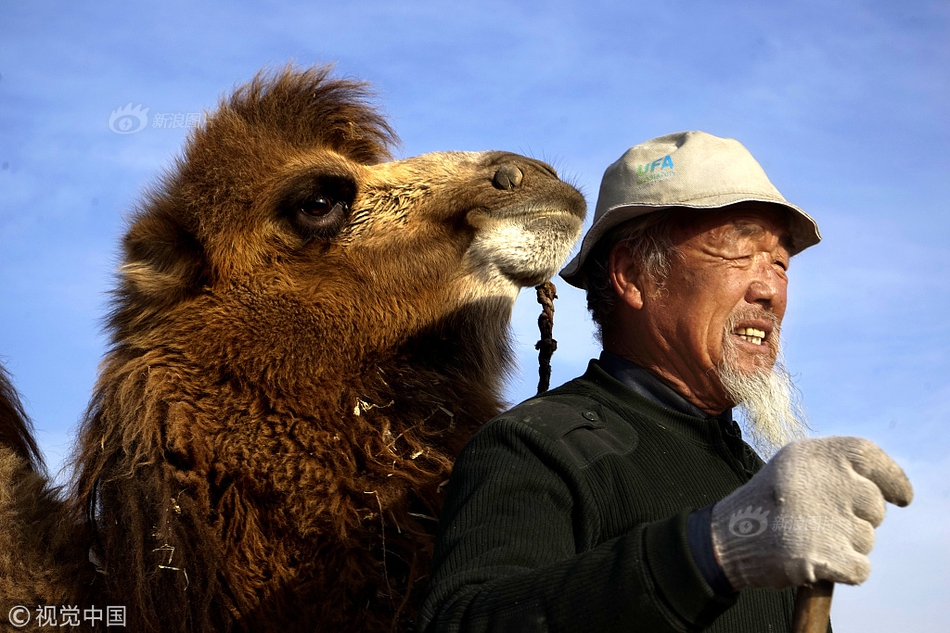 網(wǎng)貸逾期會不會被告上法庭_丁聰先生40年前的漫畫，現(xiàn)在看來依然如鞭似匕