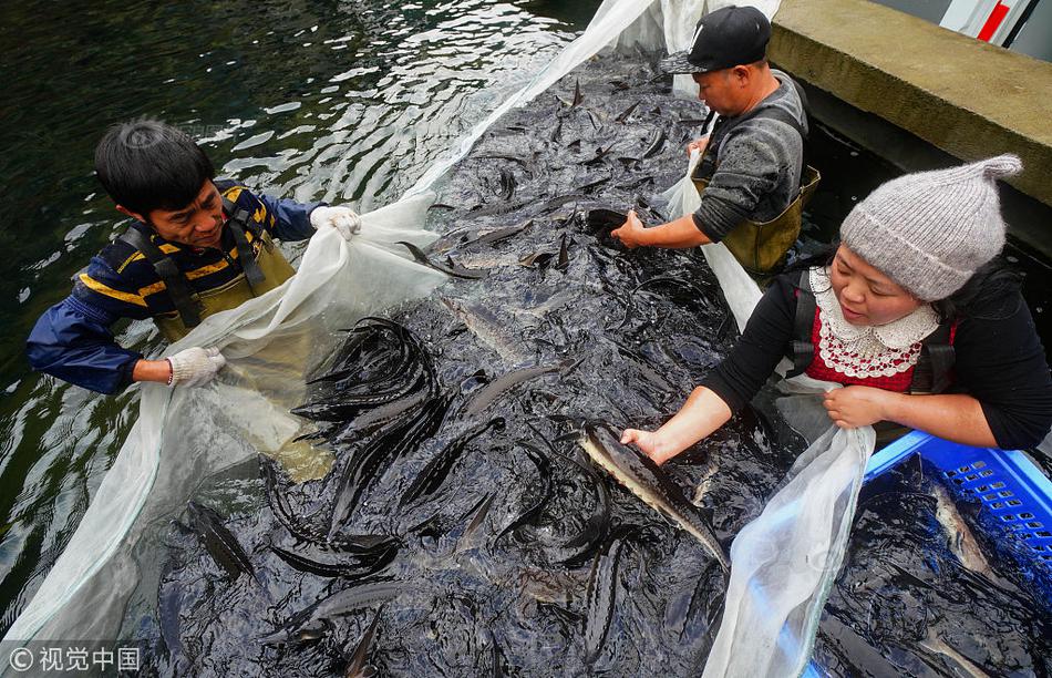 最新最火小說，玄幻懸疑言情應(yīng)有盡有