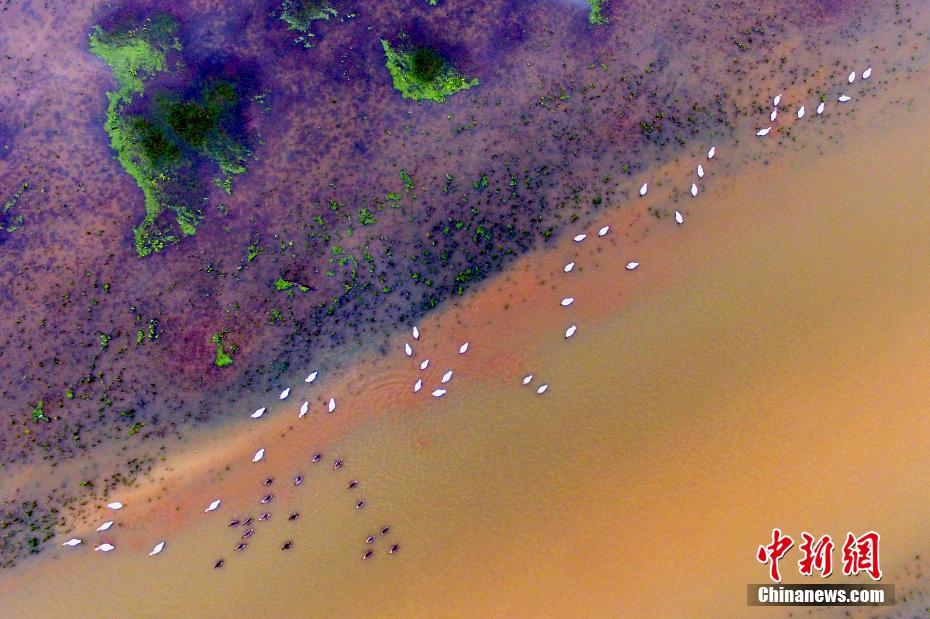 面試自我介紹簡(jiǎn)單大方2分鐘_小妹被土匪害死，他怒火中燒，帶部隊(duì)回老家剿匪