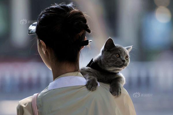 seo搜索詞_世界前十：謝奧菲勒重回第三 羅斯進入前十