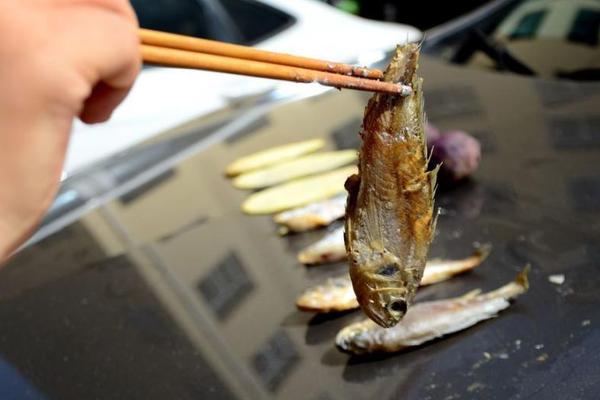 易娛網(wǎng)絡(luò)廣州分前程無憂招聘_大雪節(jié)氣后花城現(xiàn)花海！馬嶺觀花植物園80畝三角梅盛花迎客