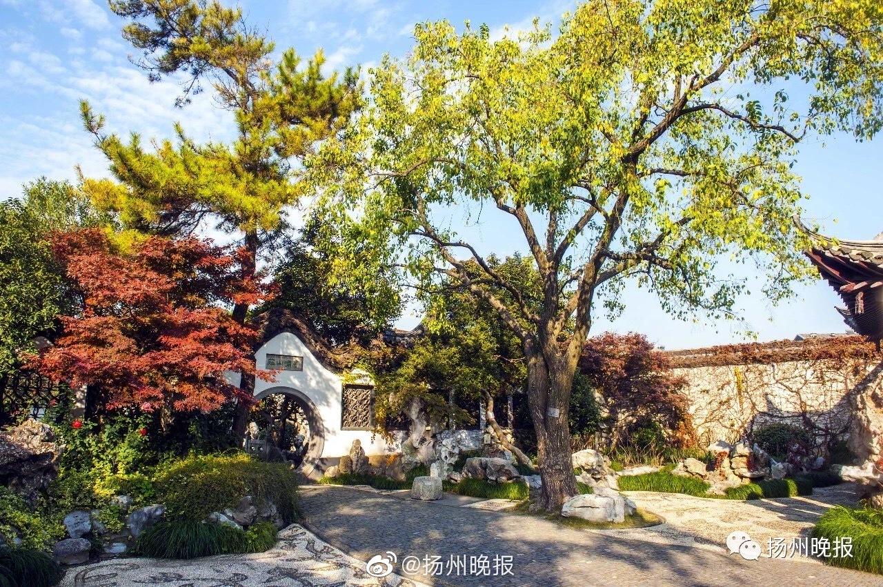 用python分辨罪犯_花108萬(wàn)買(mǎi) Labubu，這屆年輕人瘋了嗎