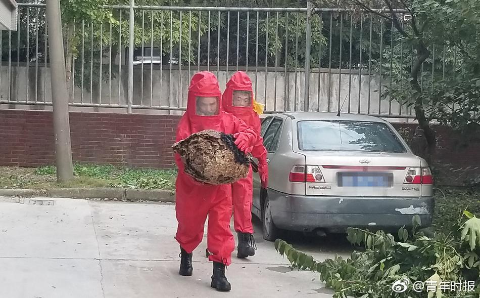 溫州龍灣掛牌一宗宅地 起價4.03億元