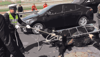 福州網(wǎng)絡(luò)與信息安全管理員培訓(xùn)課程_漯河二三孩家庭享購房補貼系謠言