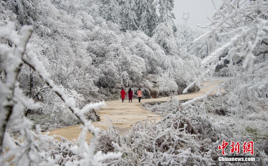 siteground取消自動(dòng)扣費(fèi)_金臺(tái)觀晉 | 解鎖話劇《于成龍》