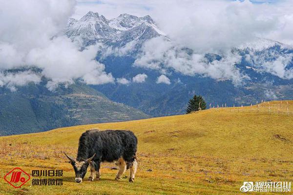 Opta全球俱樂部當(dāng)前實(shí)力榜：阿森納、拜仁、巴黎前3，維拉第6