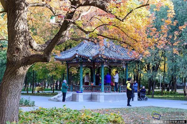 在java web中 cookie主要用于以下 方面_人工智能教父預(yù)言：大規(guī)模失業(yè)即將到來