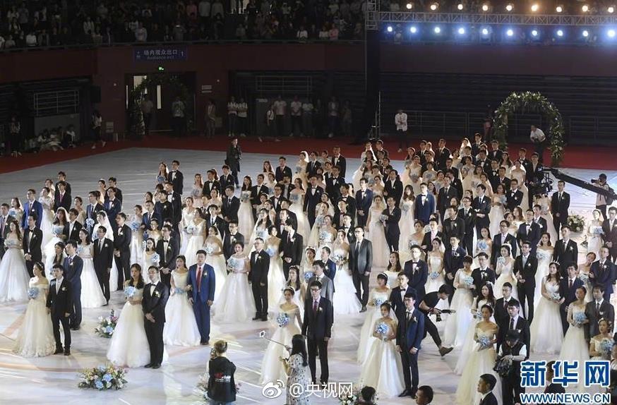 公司授權(quán)書模板免費下載網(wǎng)站_國家級美麗海灣優(yōu)秀案例 15載“海底造林”讓三亞海棠煥新