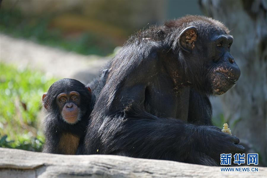 vm安裝centsos7卡了_中國式現(xiàn)代化征途 “沒有捷徑，唯有實(shí)干”