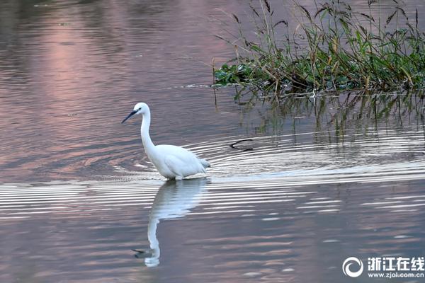 去除登錄京東都得輸入驗(yàn)證_中國(guó)女子公開(kāi)賽龐潤(rùn)芝奪冠