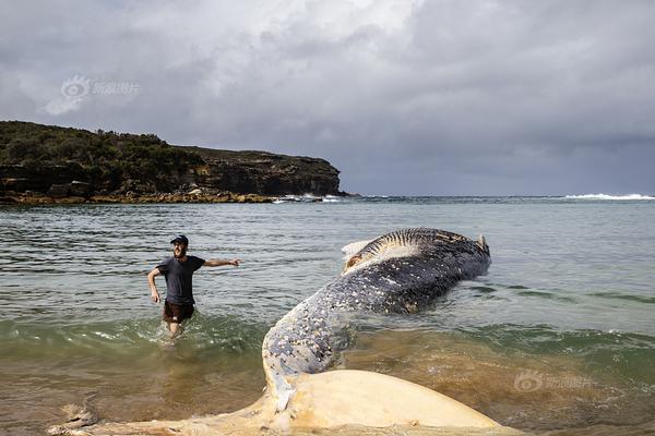 全國(guó)12320網(wǎng)上投訴平臺(tái)入口官方網(wǎng)頁(yè)版_三缸沒(méi)什么不好 試駕東風(fēng)雪鐵龍?jiān)埔?.2T